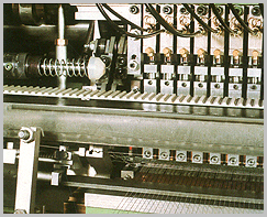 Stainless Steel Welded Wire Mesh